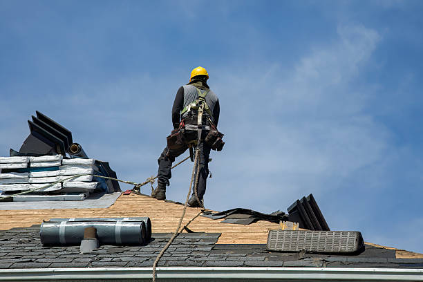 Professional Metal Roofing technician working in Blanchard, IA
